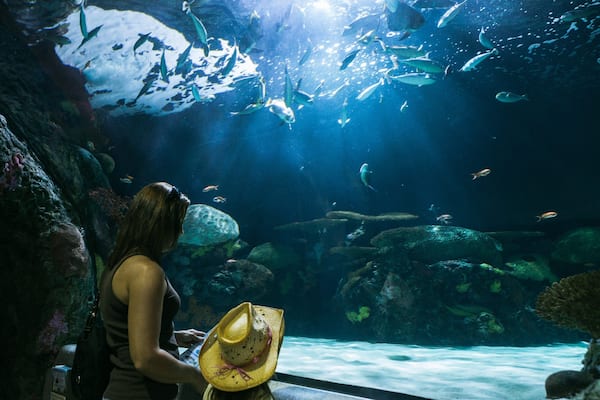 Virginia Aquarium and Marine Science Center which includes interior views and marine life as well as a family