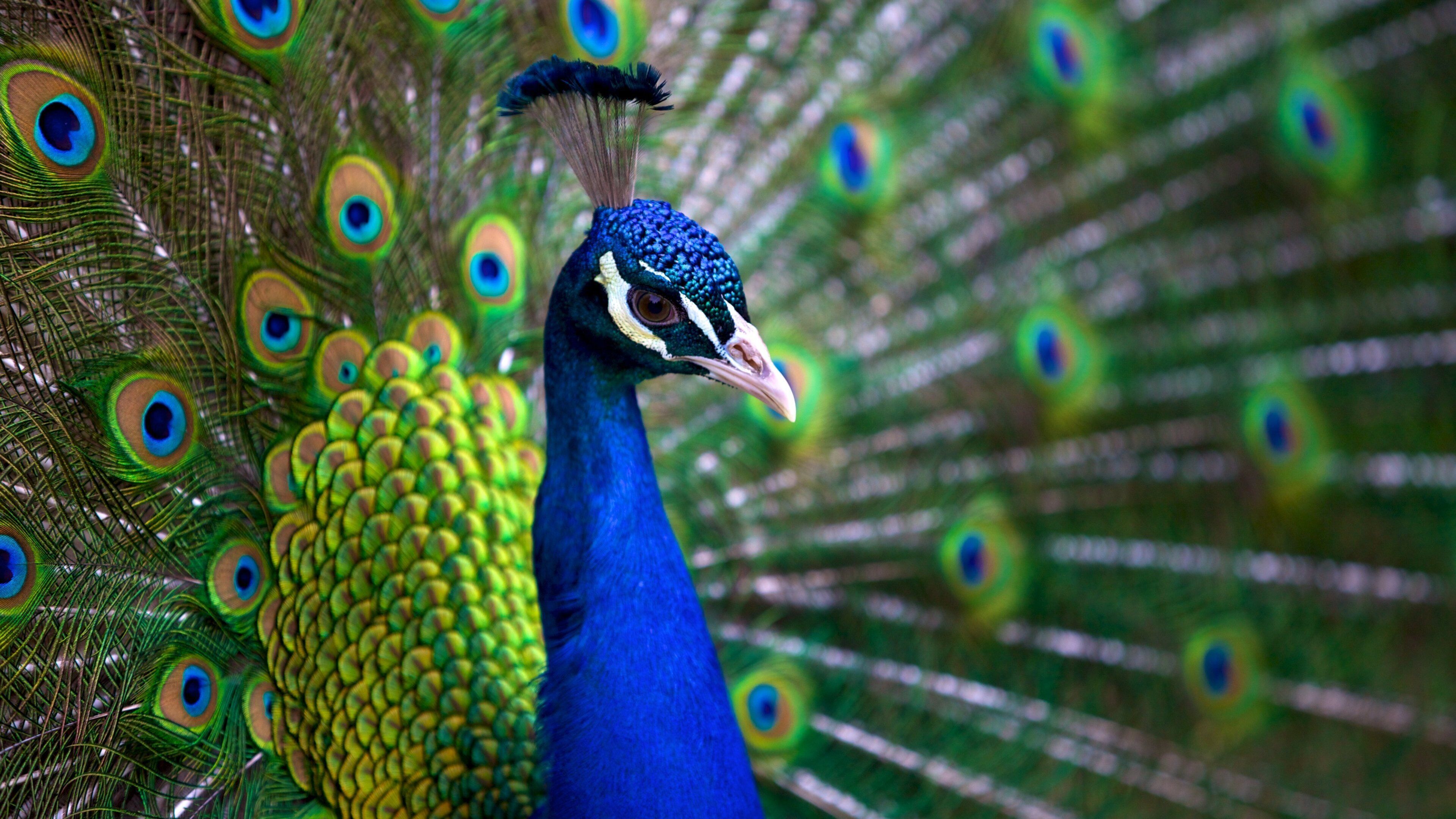 Virginia Zoo which includes bird life and zoo animals