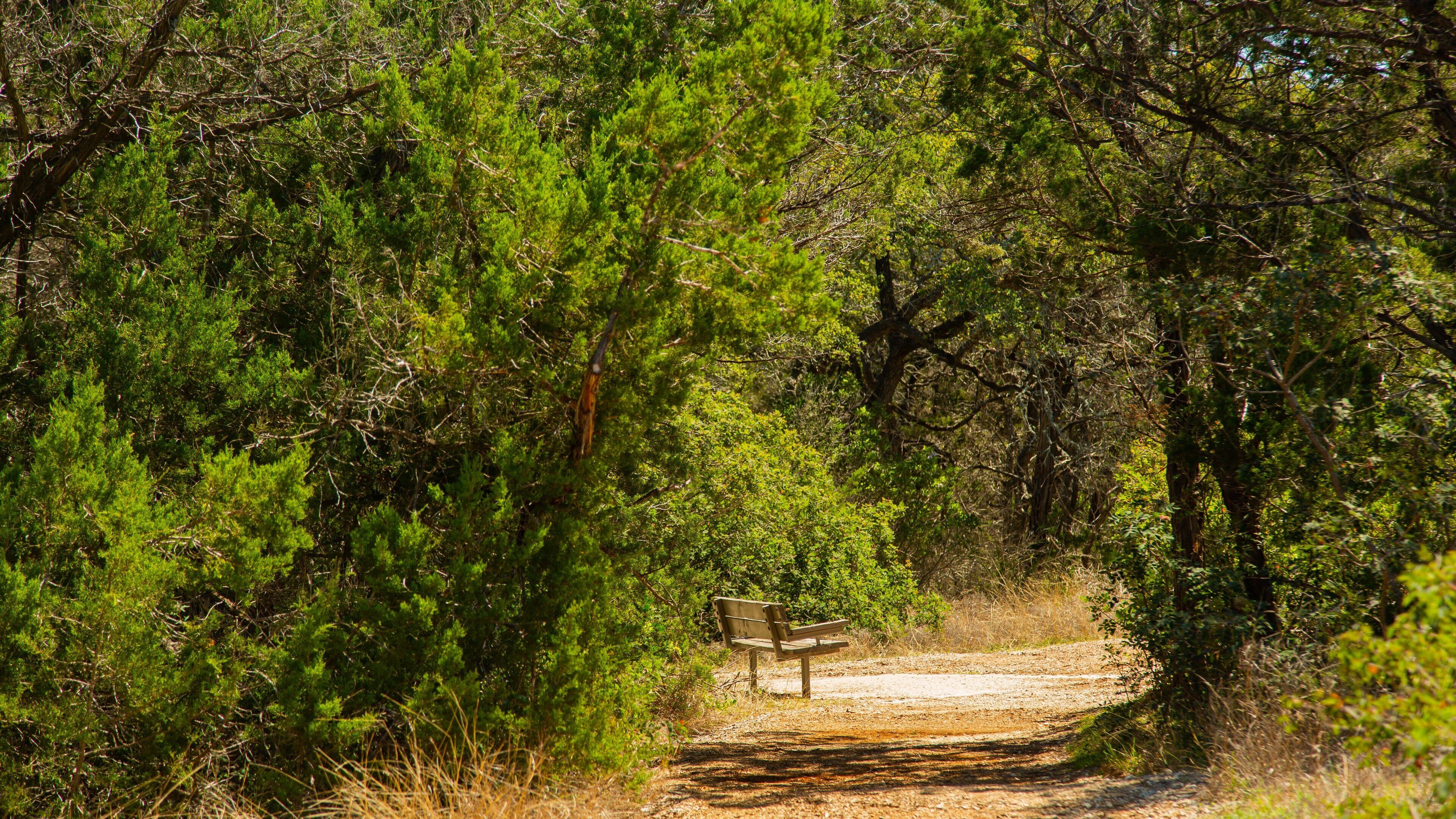 Friedrich Wilderness Park