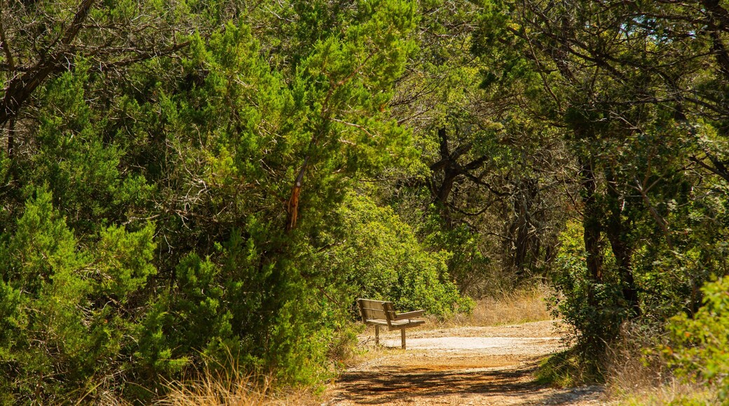 Friedrich Wilderness Park