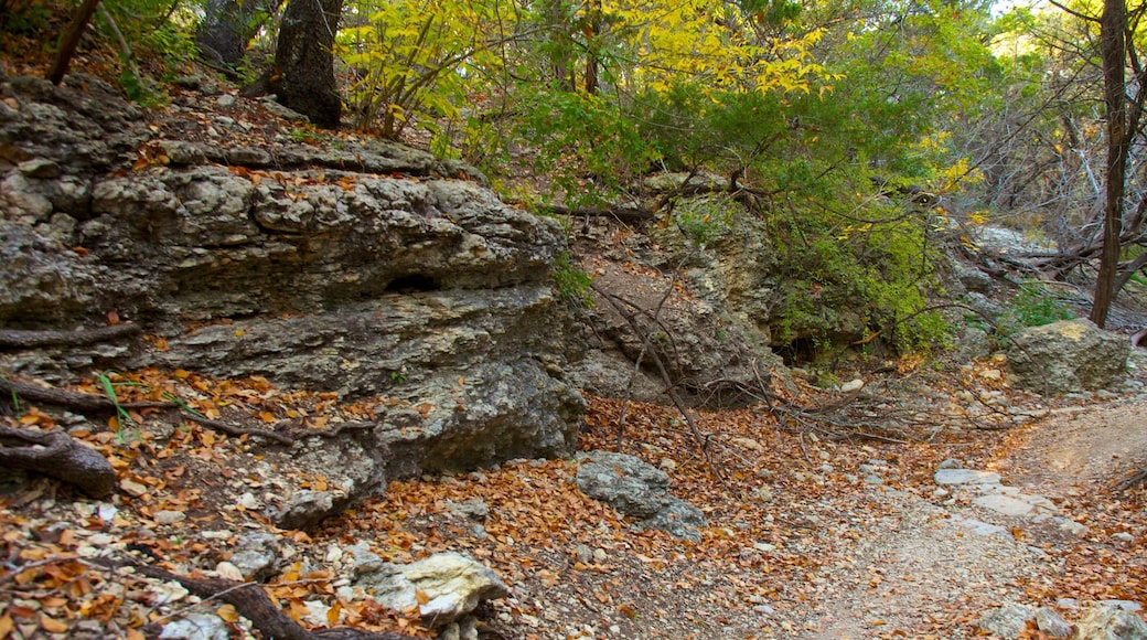Exploring the natural trails of Friedrich Wilderness Park in San Antonio, Texas during autumn