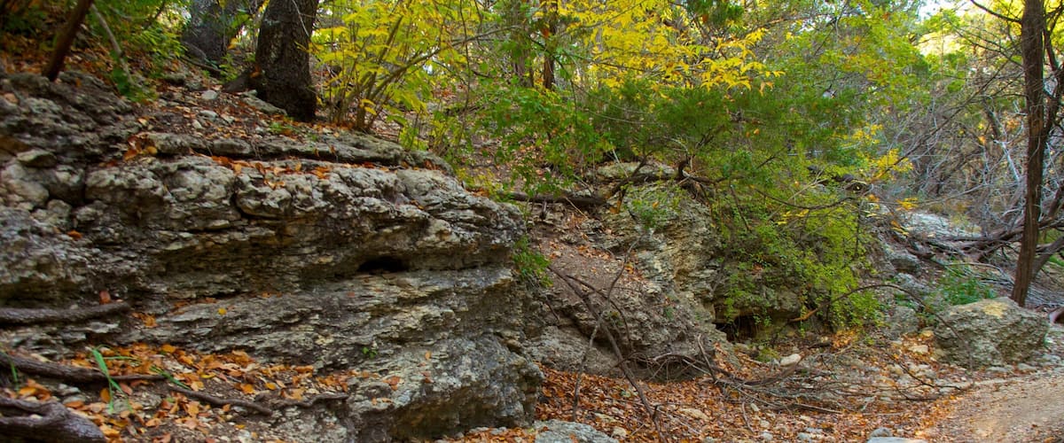 Exploring the natural trails of Friedrich Wilderness Park in San Antonio, Texas during autumn