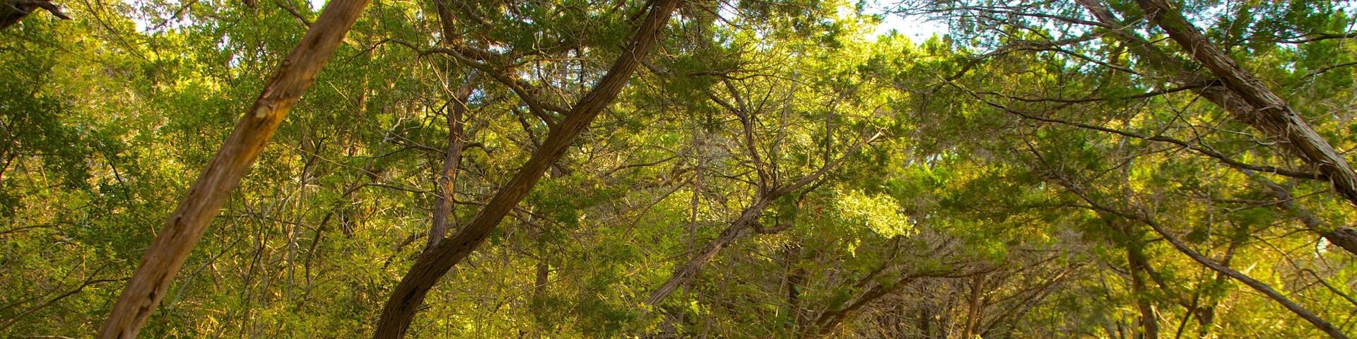 Serene walking path with a green bench in Friedrich Wilderness Park, San Antonio, Texas during golden hour