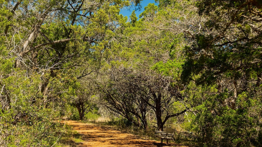 Friedrich Wilderness Park