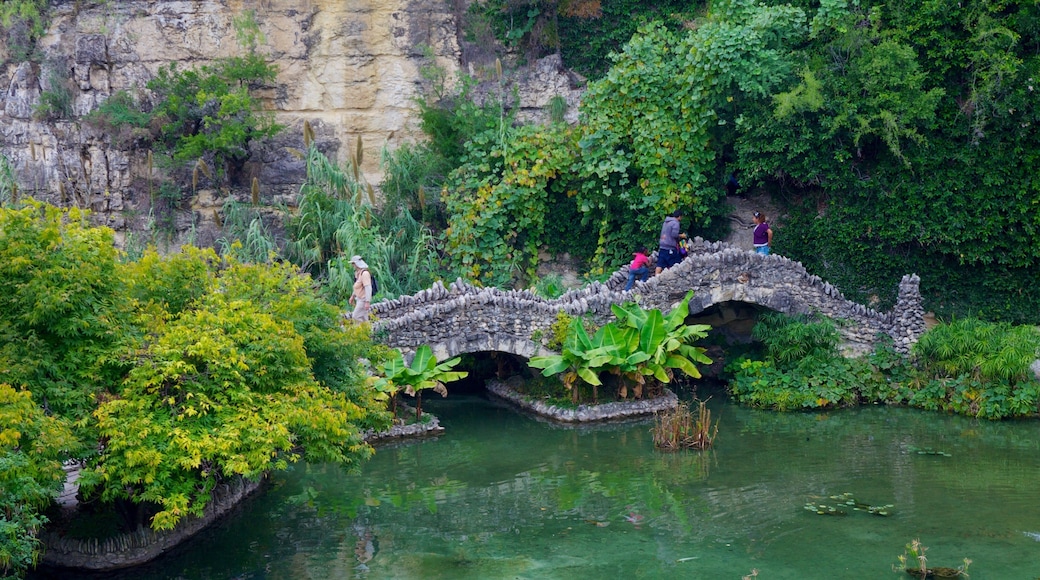 Japanese Tea Gardens showing landscape views, a pond and a garden
