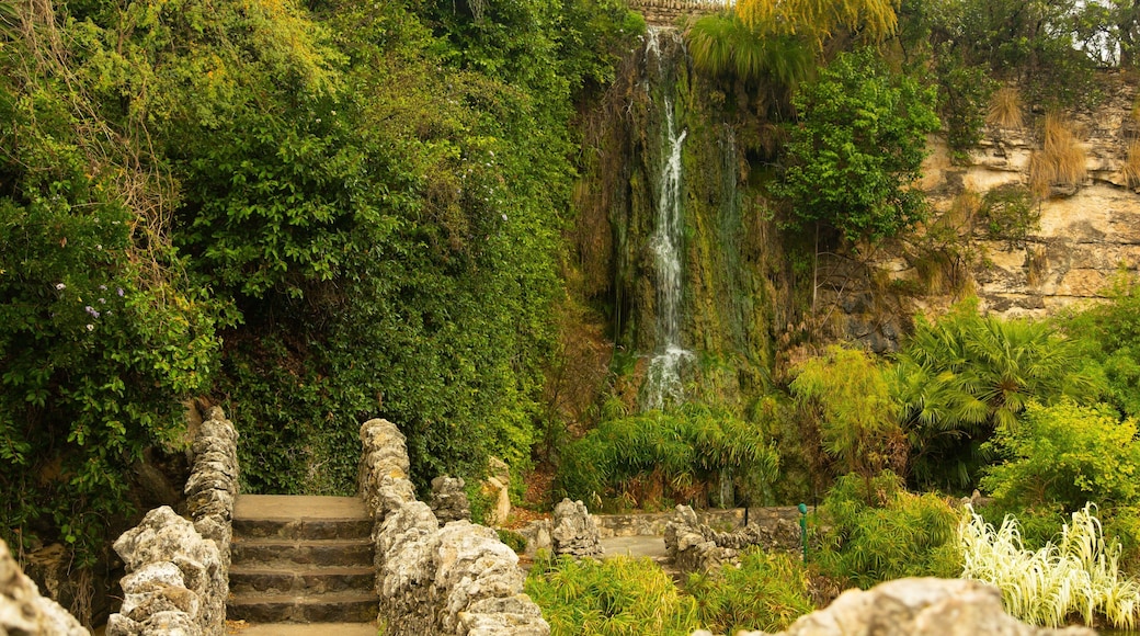 Japanese Tea Gardens