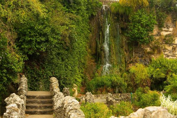 Japanese Tea Gardens