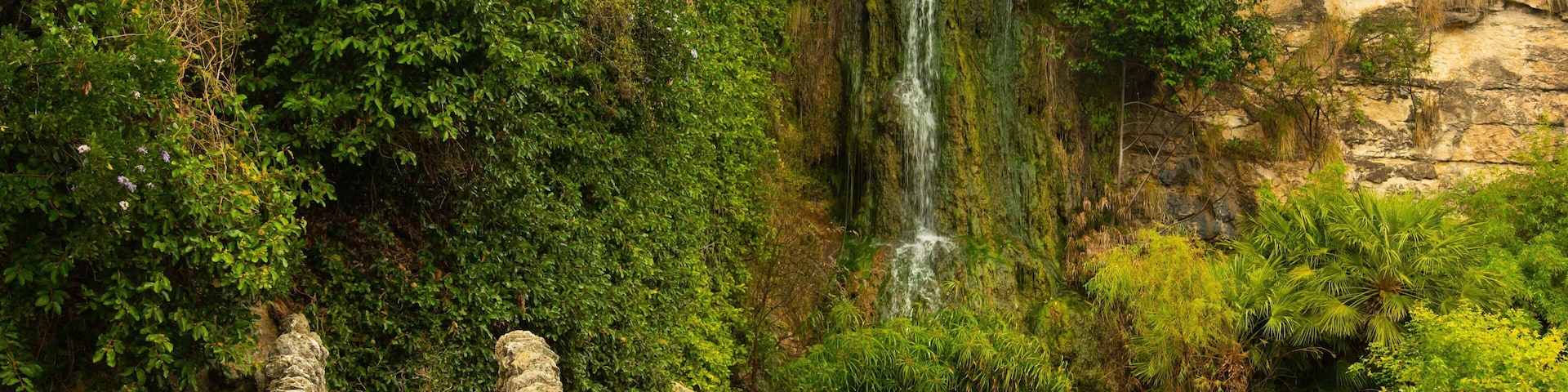 Japanese Tea Gardens