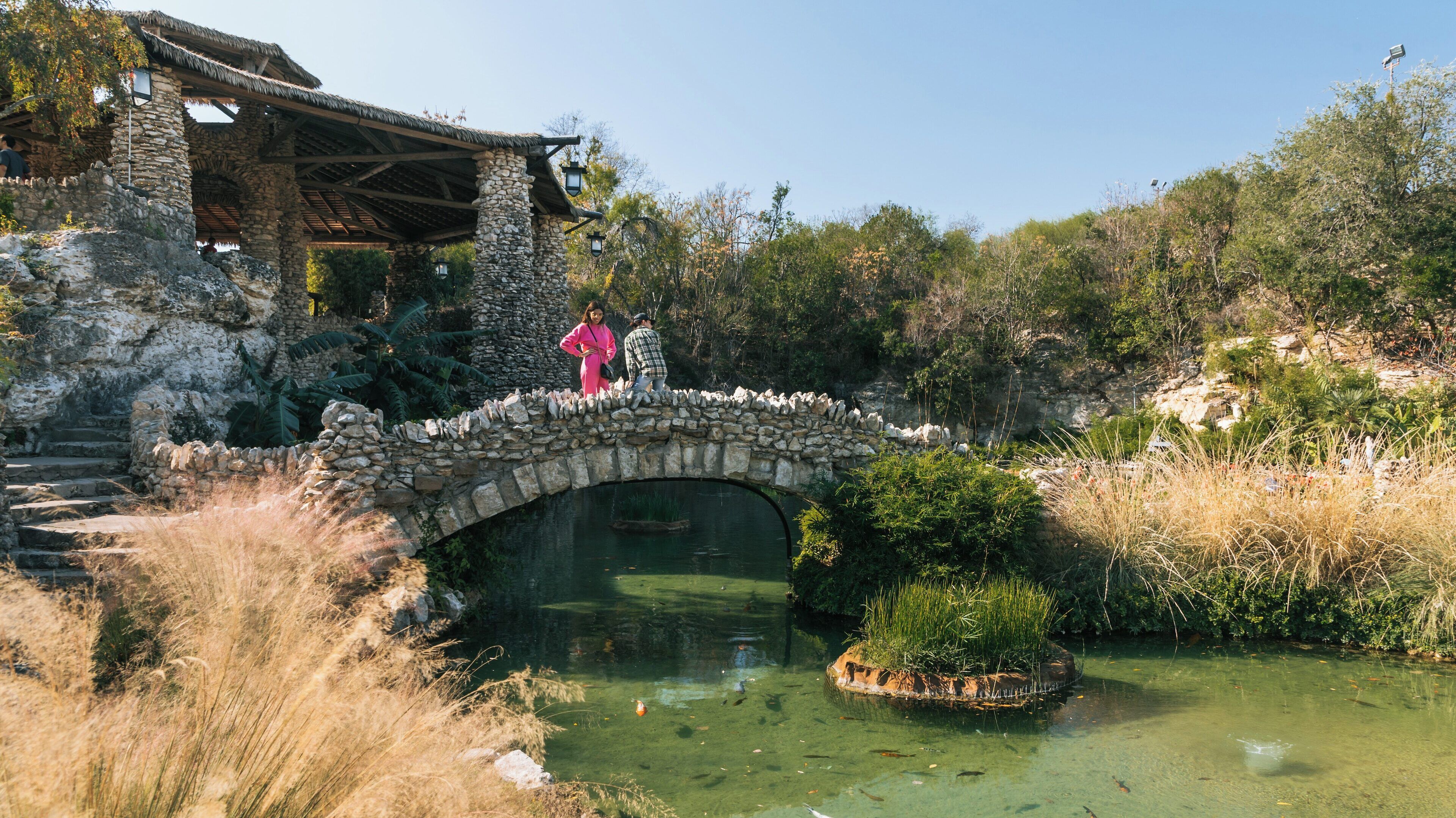 Exploring Japanese Tea Gardens in San Antonio, Texas with serene landscapes and tranquil water features on a sunny day