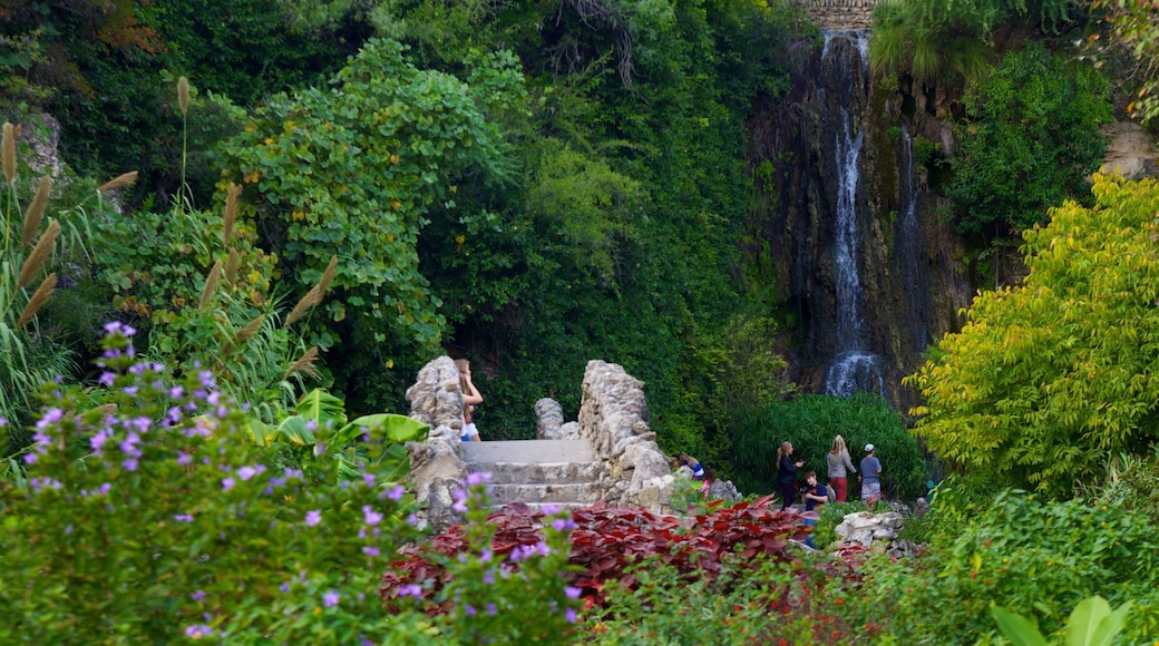 Japanese Tea Gardens which includes a garden, a waterfall and landscape views