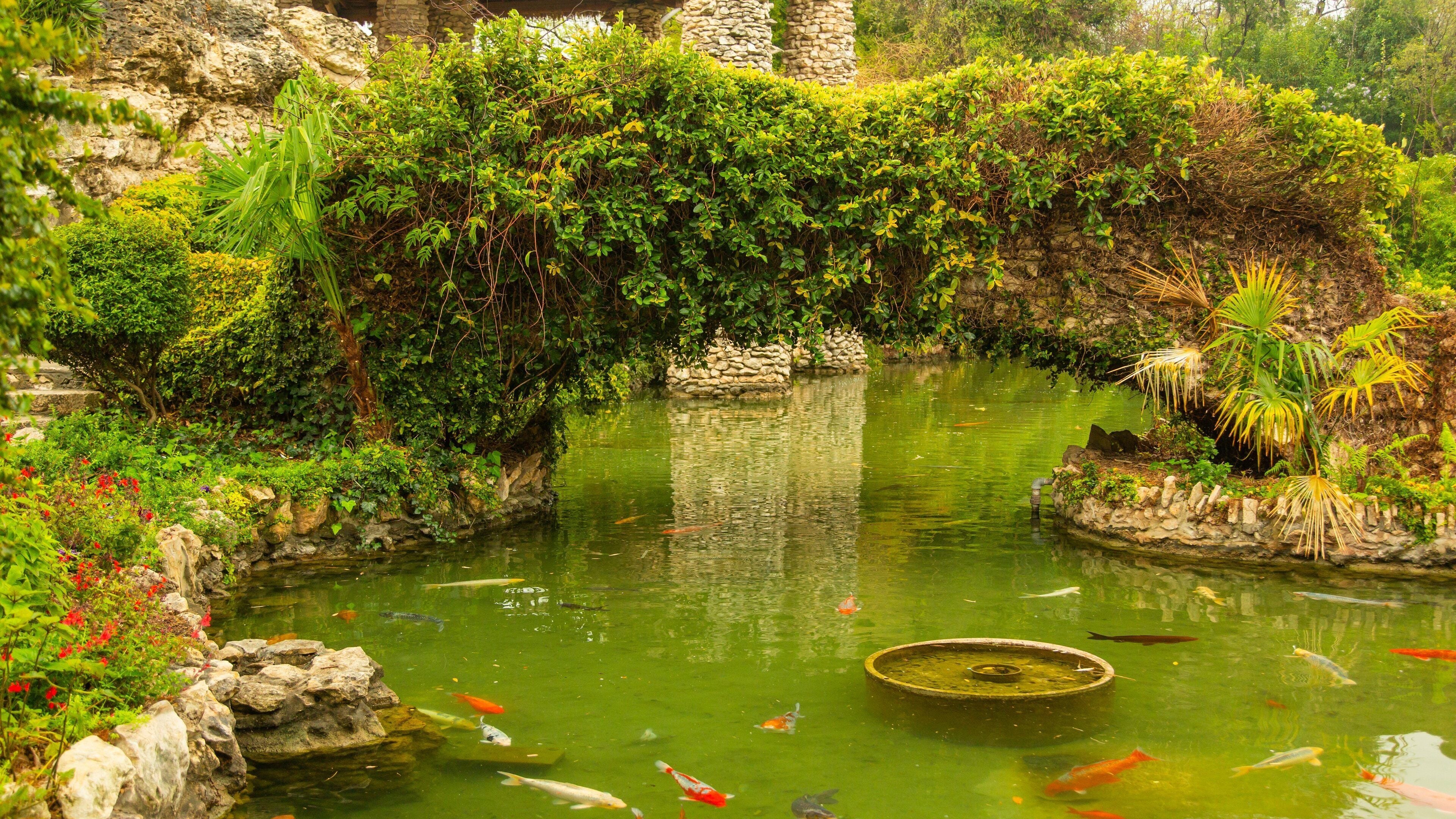 Japanese Tea Gardens