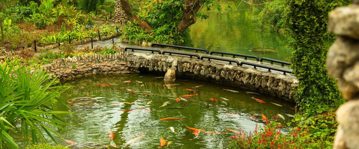 Japanese Tea Gardens