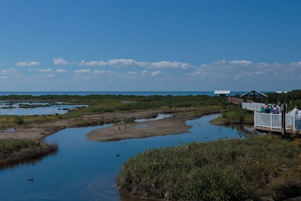 South Padre Island Birding and Nature Center featuring wetlands and landscape views