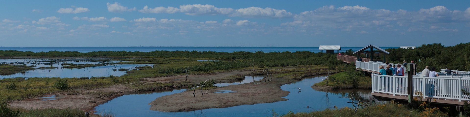 South Padre Island Birding and Nature Center featuring wetlands and landscape views