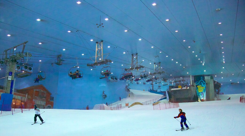 スキー ドバイ フィーチャー 雪, ゴンドラ と スキー