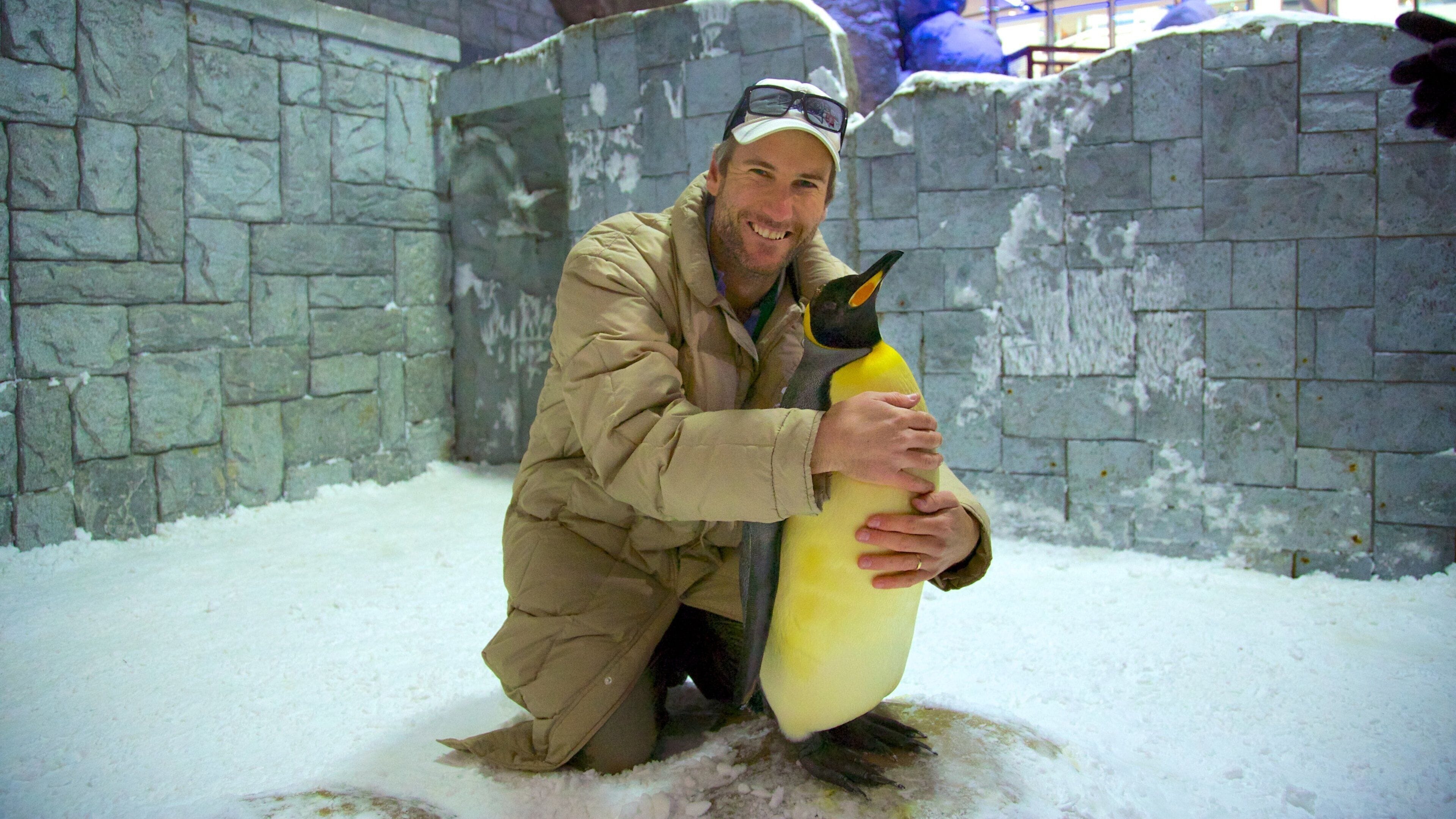 スキー ドバイ どの含み 雪 と 鳥 及び 男性 (個人)