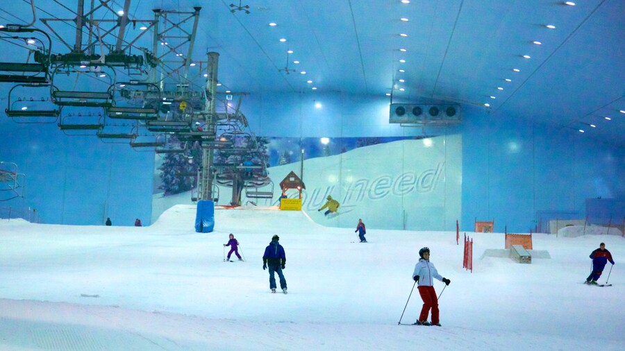 Ski Dubai featuring snow, interior views and snow skiing