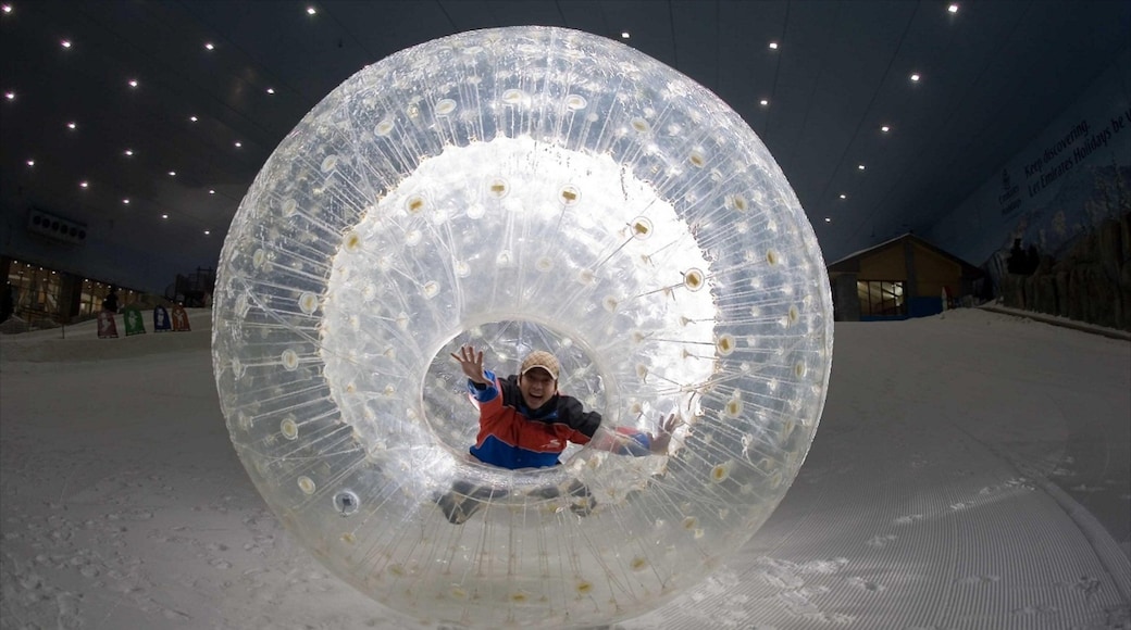 Ski Dubai featuring snow and night scenes as well as an individual male