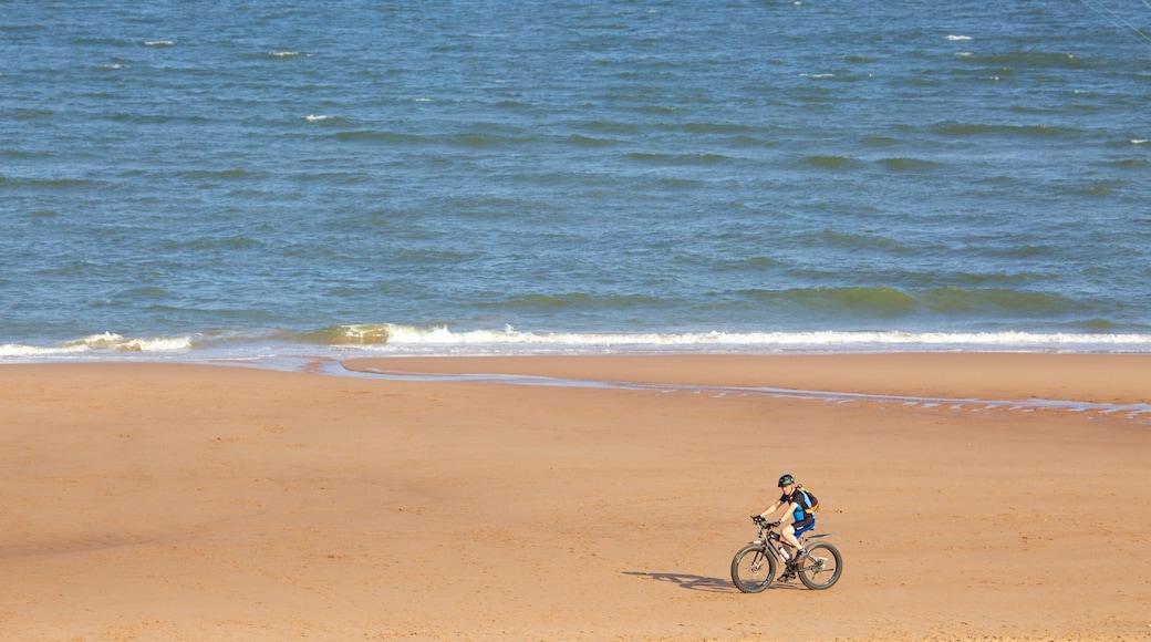 Balmedie Country Park which includes general coastal views, a beach and cycling