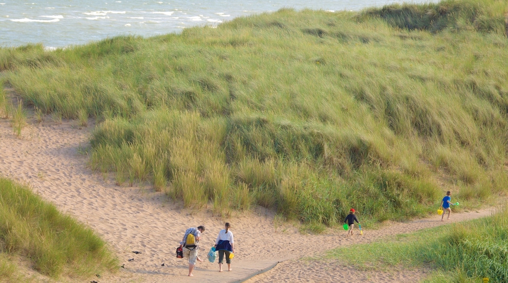 Balmedie Country Park som viser strand i tillegg til familie