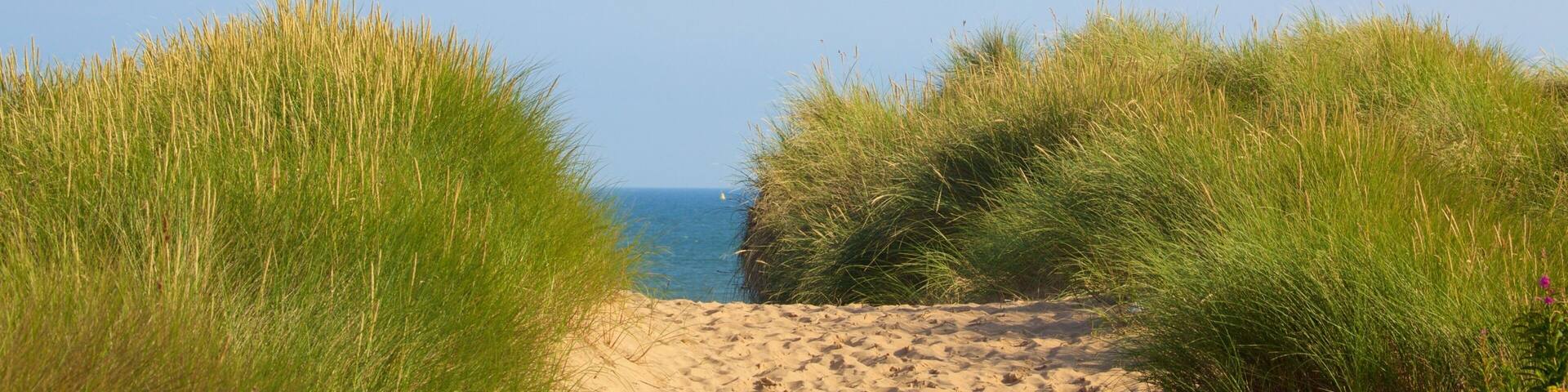 Balmedie Country Park which includes a beach