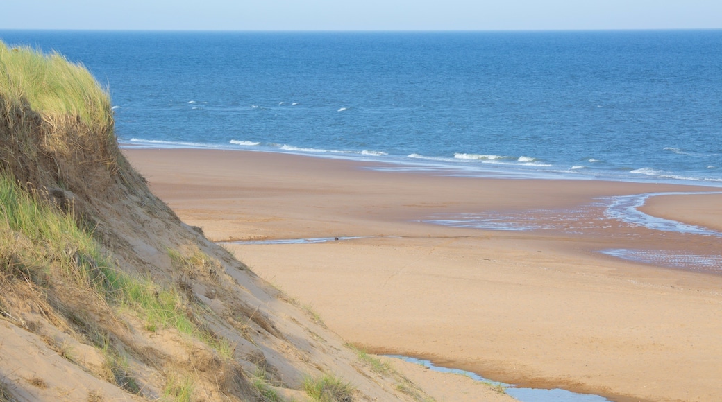 Balmedie Country Park som viser strand og kyst
