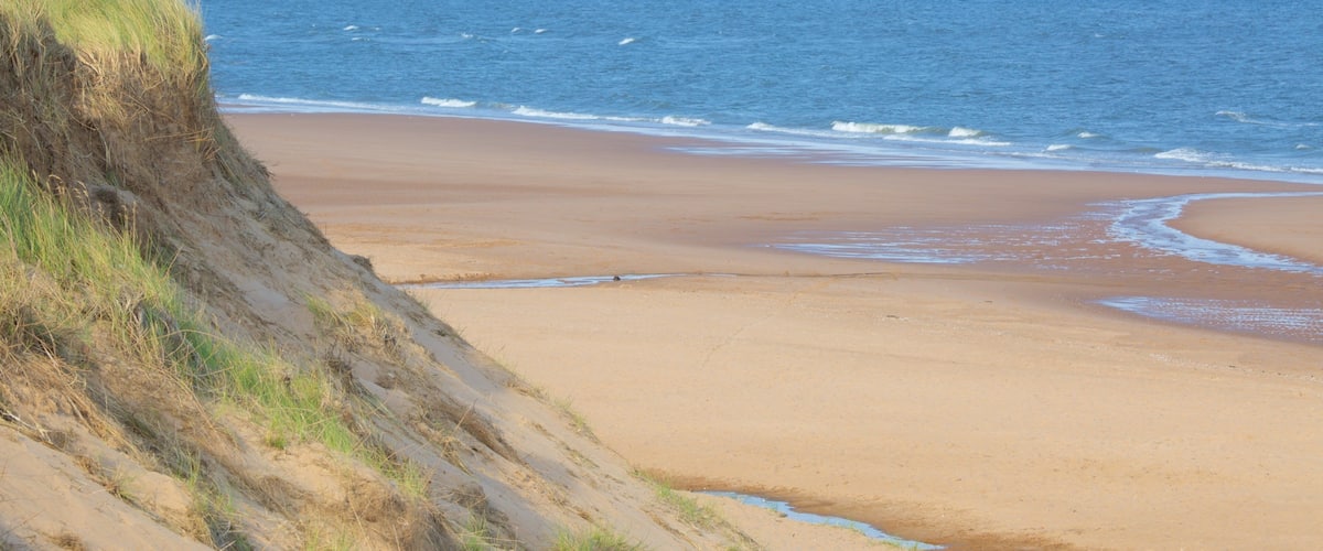 Balmedie Country Park qui includes vues littorales et plage