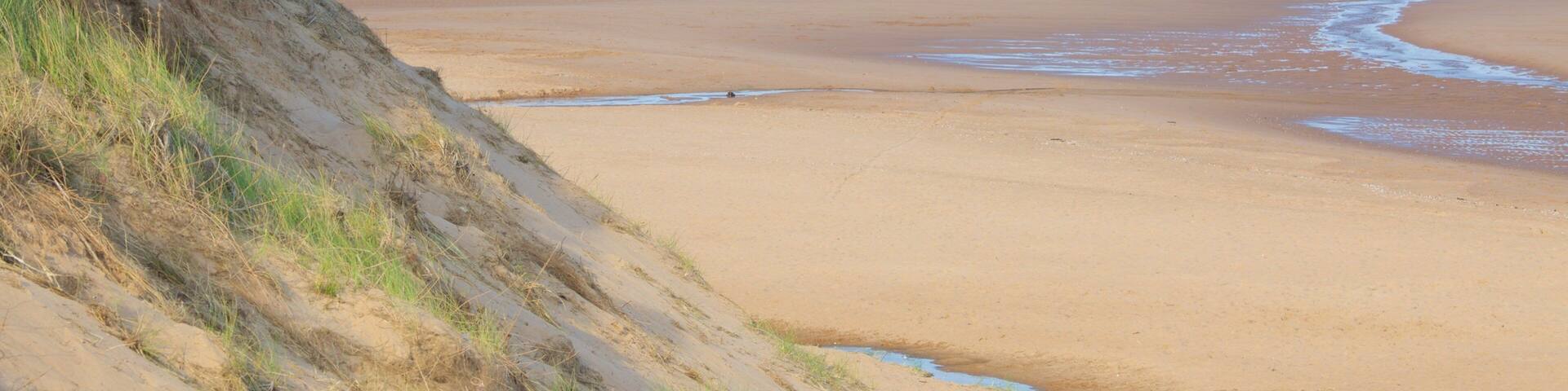 Balmedie Country Park showing a beach and general coastal views