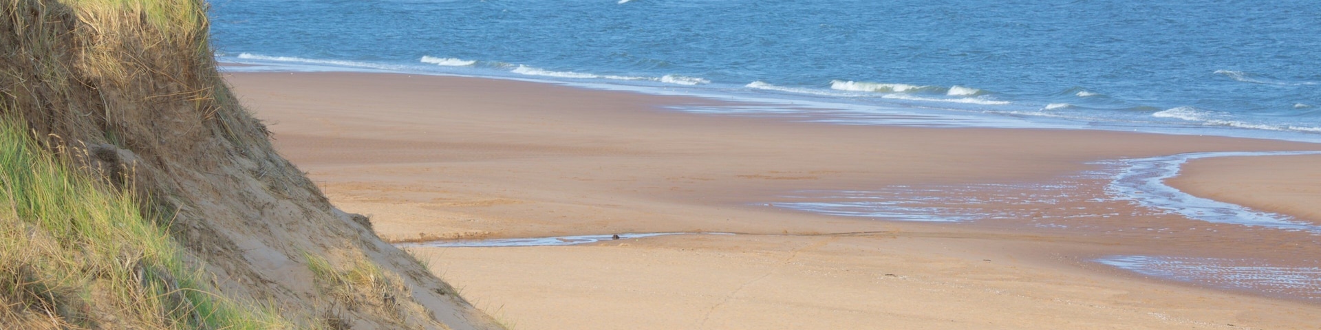 Balmedie Country Park showing a beach and general coastal views