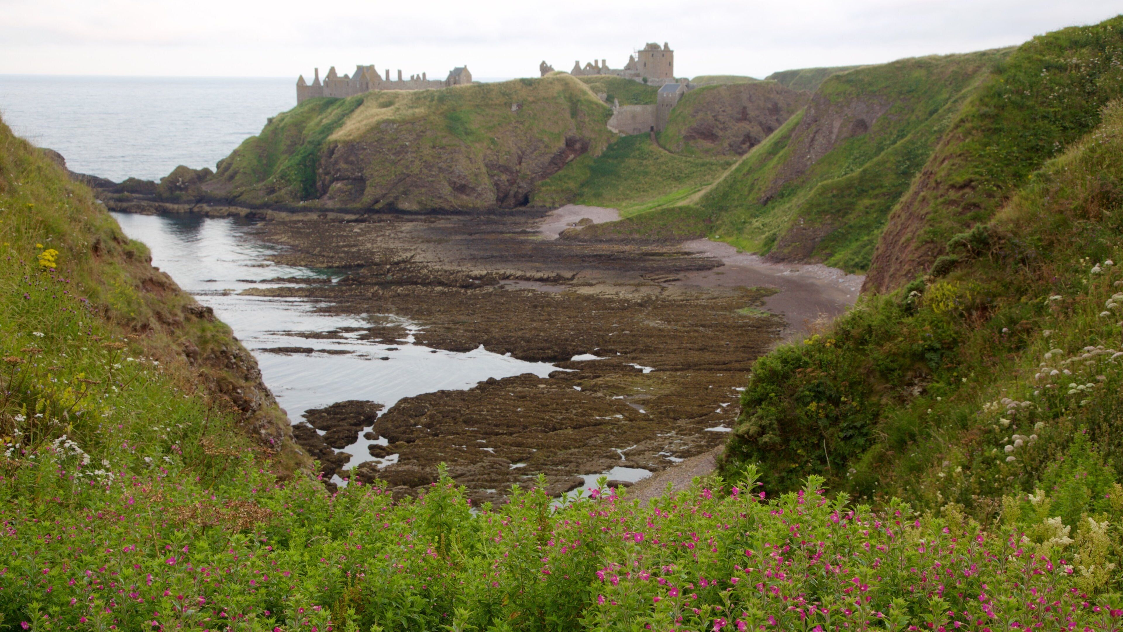 Dunnottar Castle featuring farmland and general coastal views