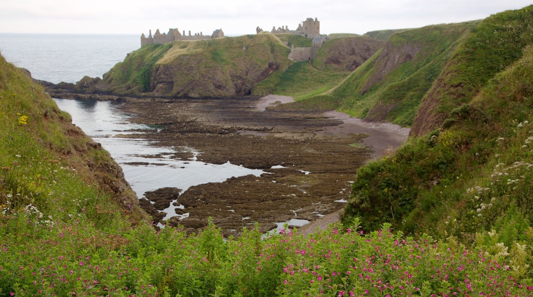 Dunnottar Castle featuring farmland and general coastal views
