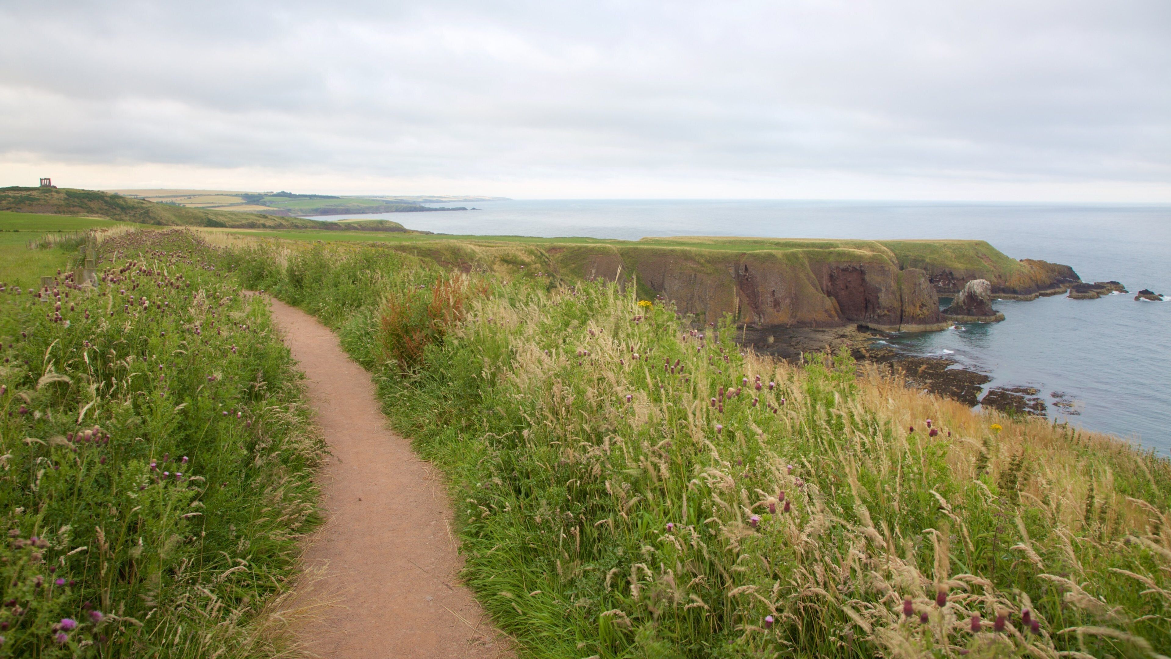 Dunnottar Castle showing general coastal views, hiking or walking and farmland