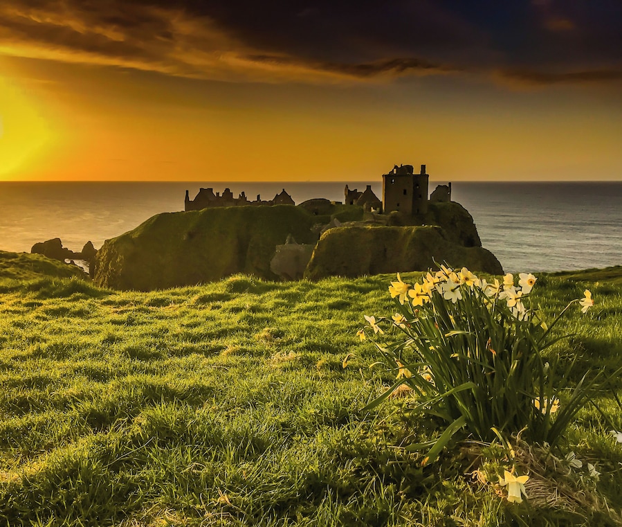 A spring morning in April is an excellent time to visit Dunottar Castle on the north East Coast of Scotland, The daffodils are coming up and spring is in the air. At 5.18am the sun is breaking over the horizon. There is nowhere to gat a coffee and a bacon sandwich unless you drive south to Montrose and the Greggs the bakers opens at 7am. Bring a flask as the breeze of the north sea is bloody freezing in April, The Castle doesn't open until 10am, Built in the 1400's it played a major role in the Jacobite uprisings of the 1715 and 1745.