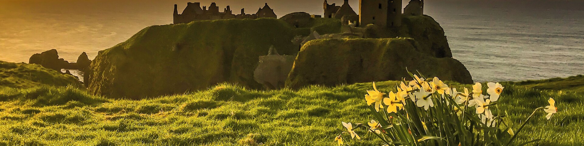 A spring morning in April is an excellent time to visit Dunottar Castle on the north East Coast of Scotland, The daffodils are coming up and spring is in the air. At 5.18am the sun is breaking over the horizon. There is nowhere to gat a coffee and a bacon sandwich unless you drive south to Montrose and the Greggs the bakers opens at 7am. Bring a flask as the breeze of the north sea is bloody freezing in April, The Castle doesn't open until 10am, Built in the 1400's it played a major role in the Jacobite uprisings of the 1715 and 1745.