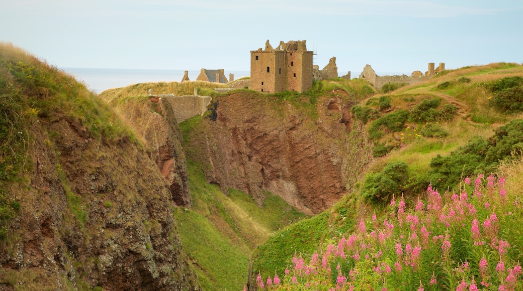 Dunnottar Castle which includes farmland and a gorge or canyon