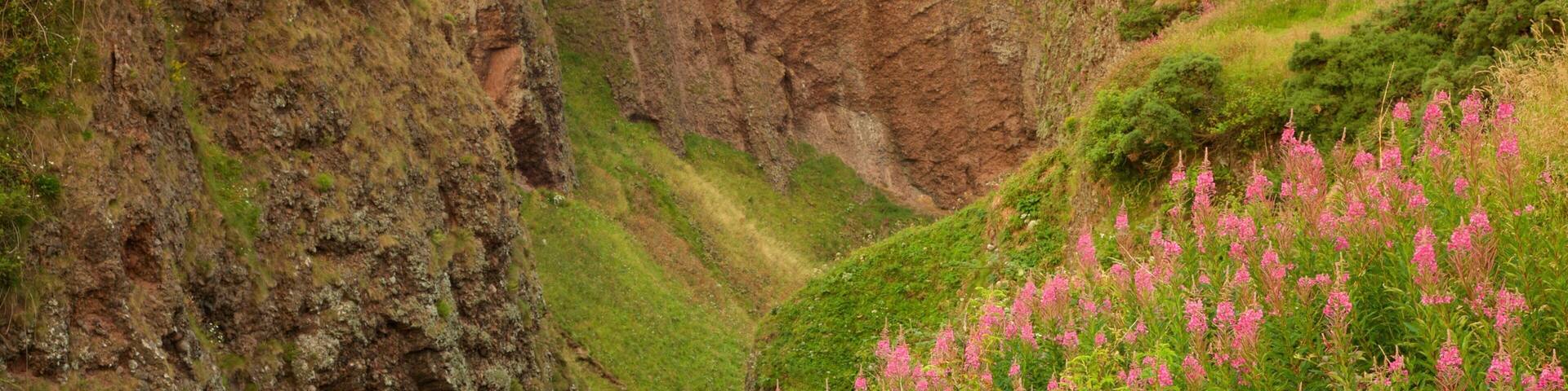 Dunnottar Castle montrant ferme et gorge ou canyon