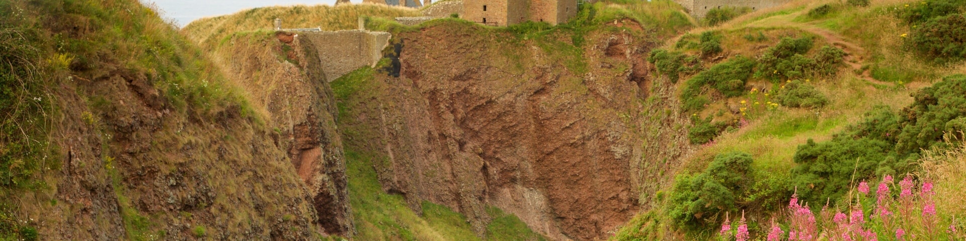 Castelo de Dunnottar que inclui fazenda e um desfiladeiro ou canyon