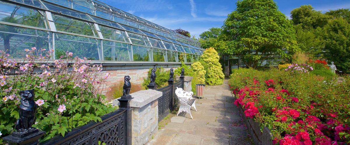 Duthie Park Winter Gardens which includes a park, wild flowers and flowers