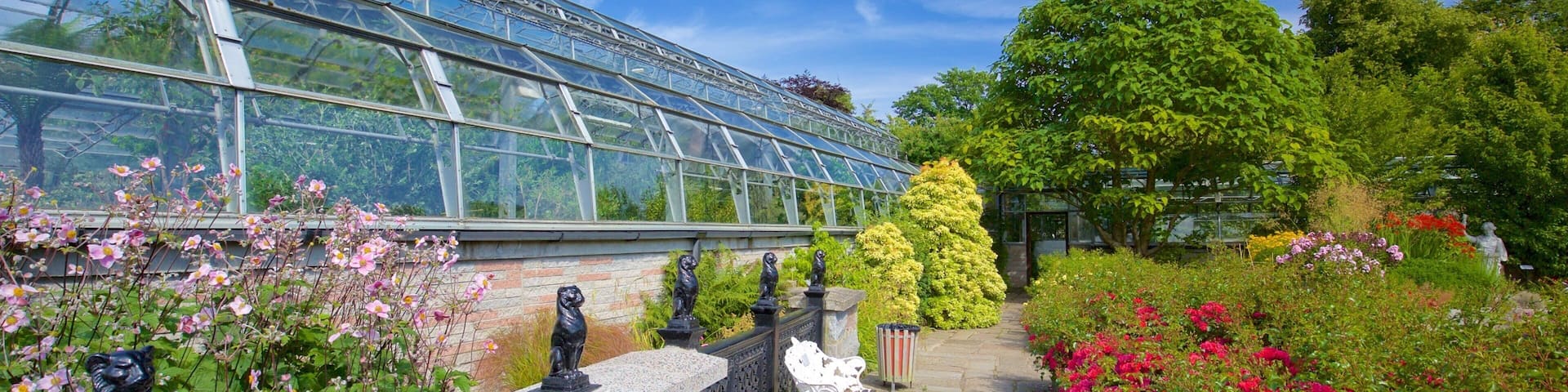 Duthie Park Winter Gardens som visar blommor och en park