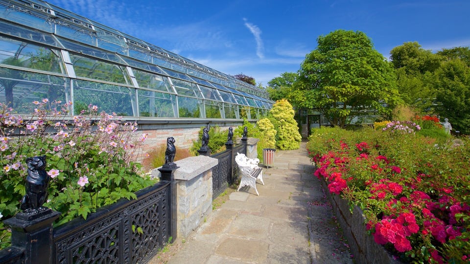 Duthie Park Winter Gardens which includes a park, flowers and wildflowers