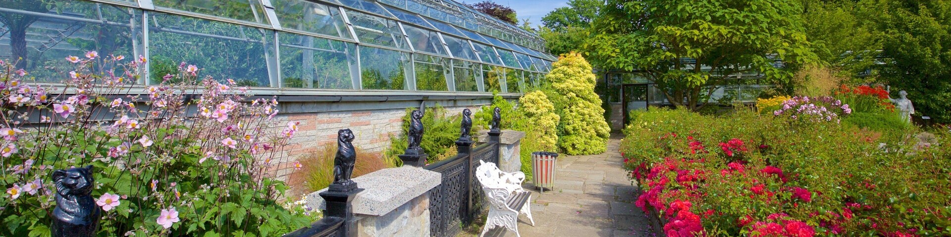 Duthie Park Winter Gardens which includes a park, flowers and wildflowers