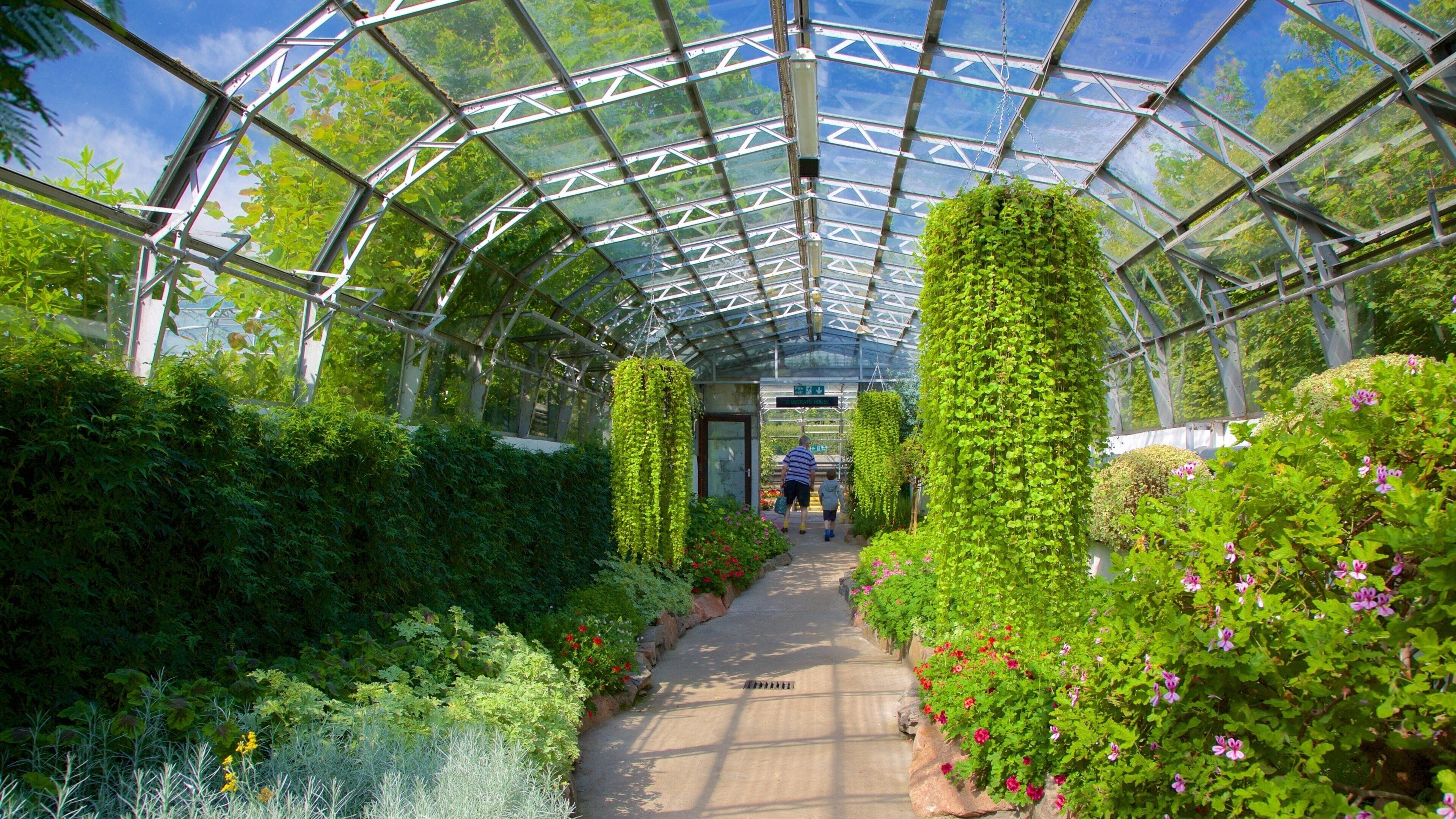 Duthie Parks vinterhaver og byder på en park og interiør