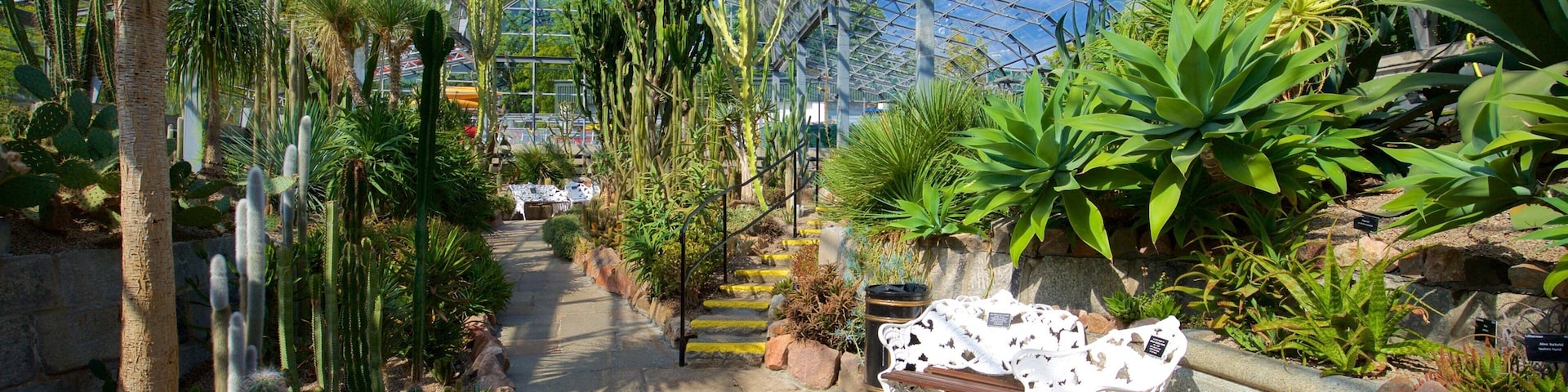 Duthie Park Winter Gardens which includes a park and interior views