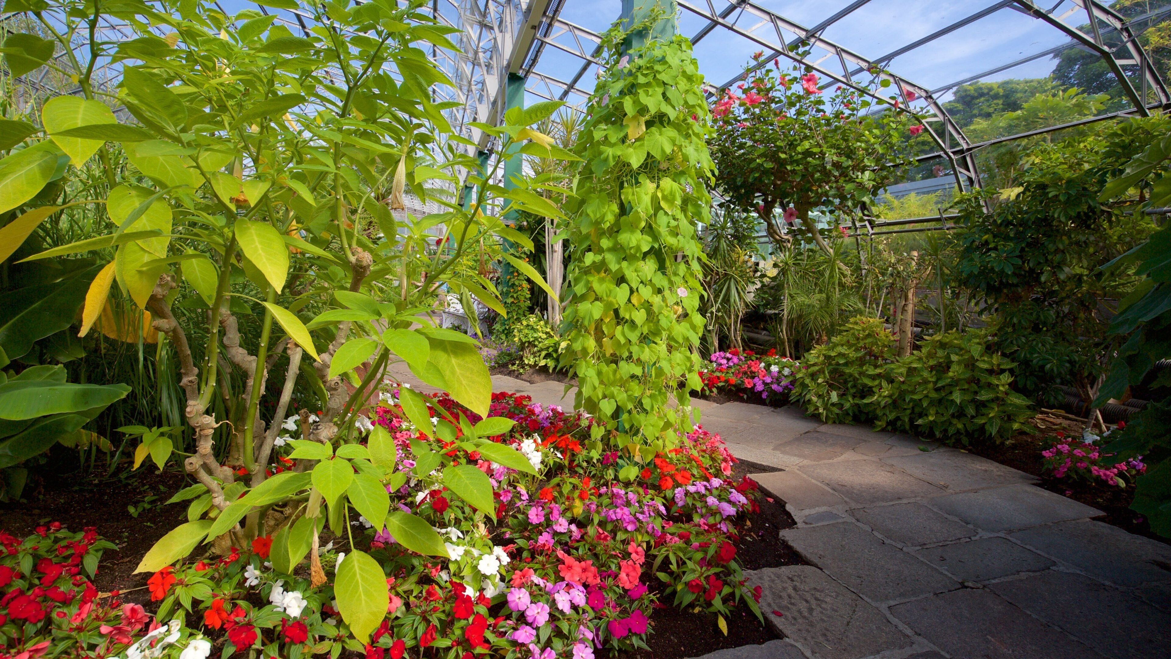 Duthie Park Winter Gardens featuring a park and interior views