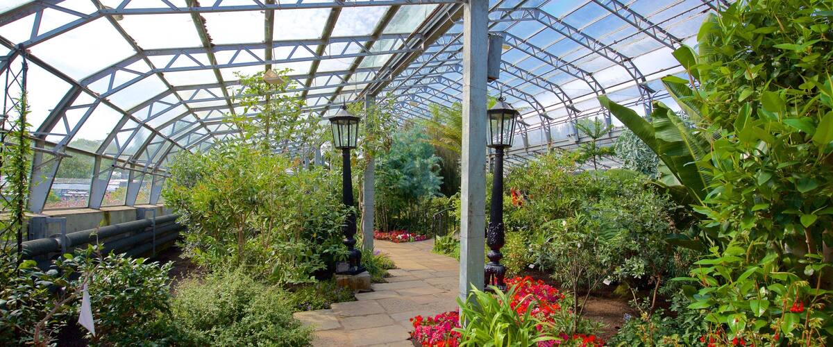 Công viên Mùa đông Khu Duthie trong đó bao gồm công viên và cảnh nội thất