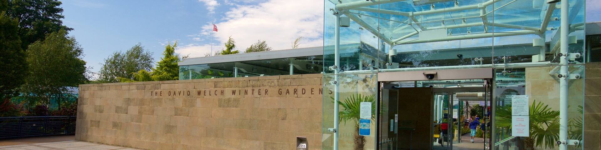 Duthie Park Winter Gardens mettant en vedette jardin