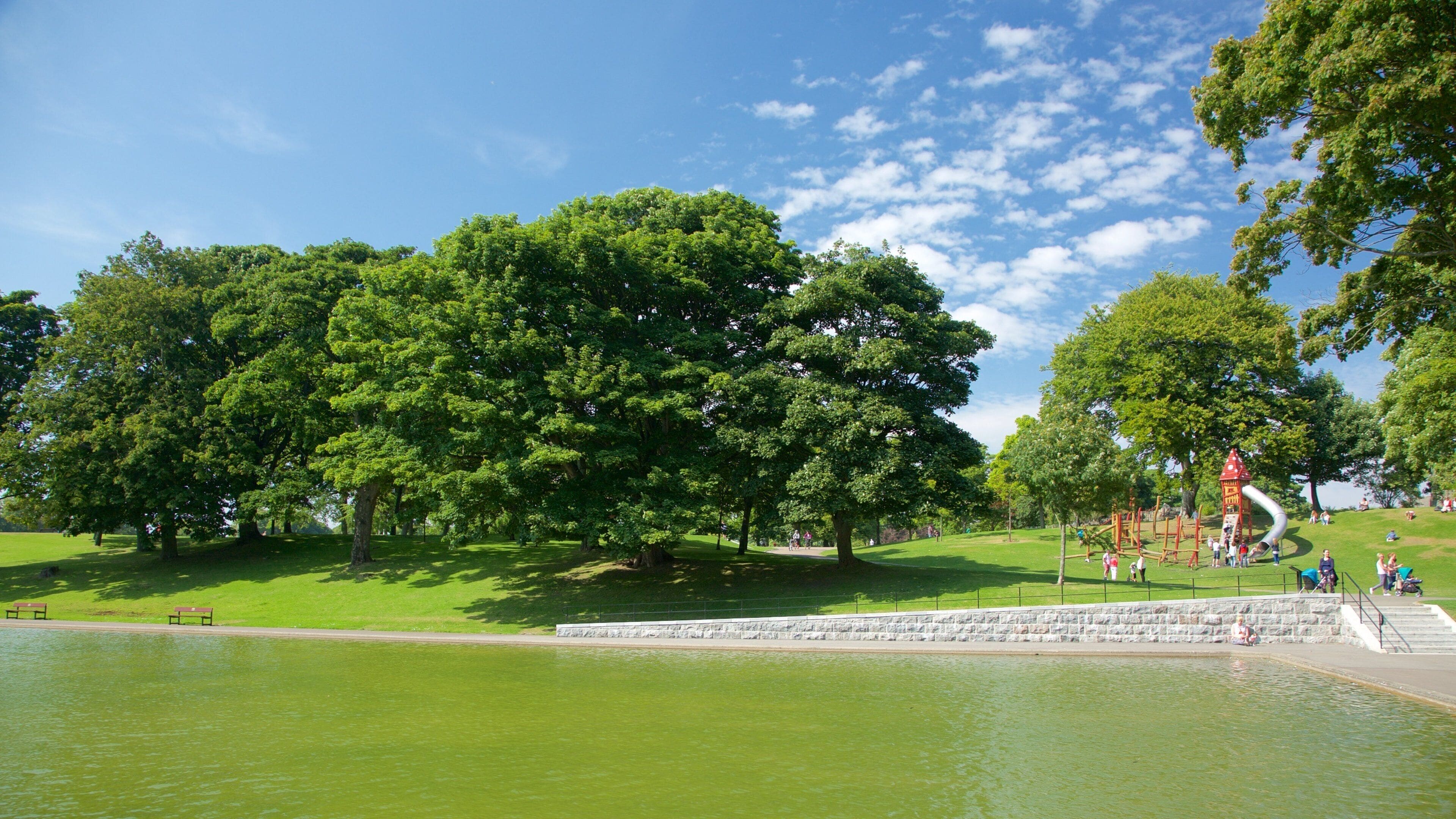 A park with a pond, green grass, trees, and playground equipment.
