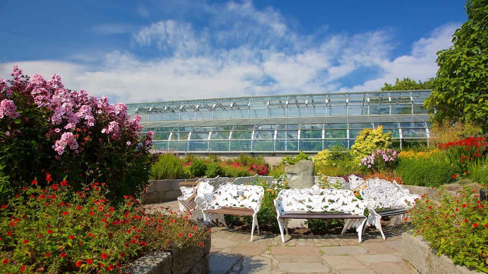 Duthie Park Winter Gardens which includes a park