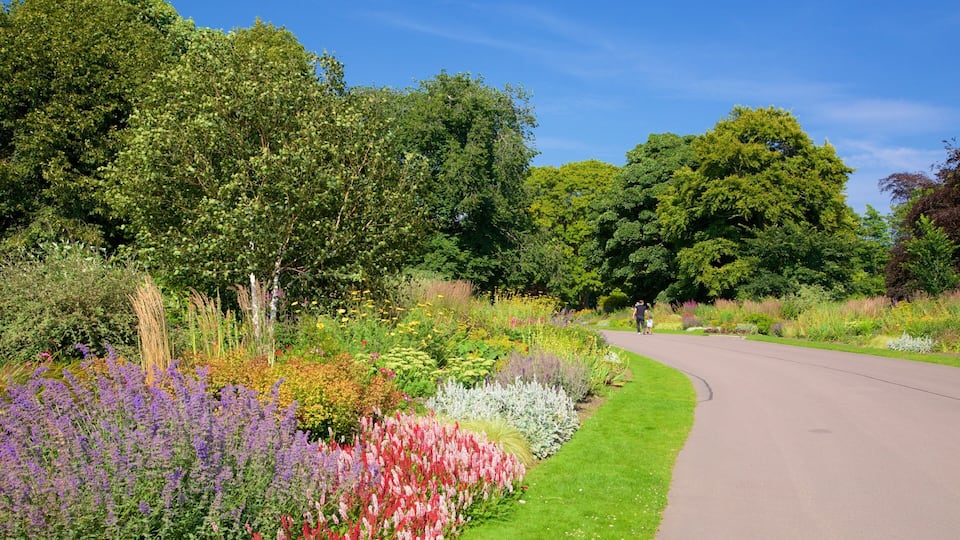 Duthie Park Winter Gardens which includes a park