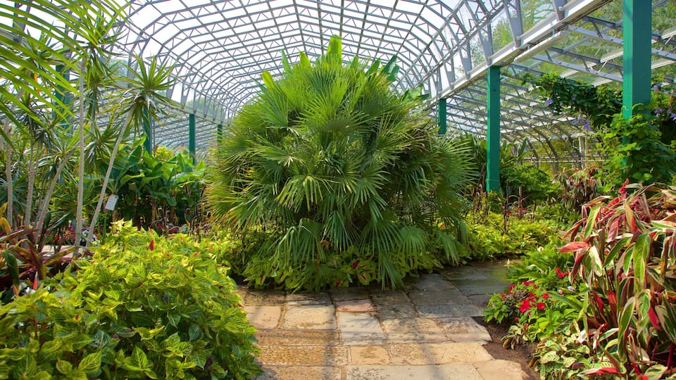 Duthie Park Winter Gardens featuring a park and interior views